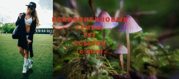 соль ск Алексин