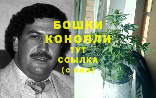 герыч Арсеньев