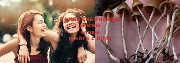 герыч Арсеньев